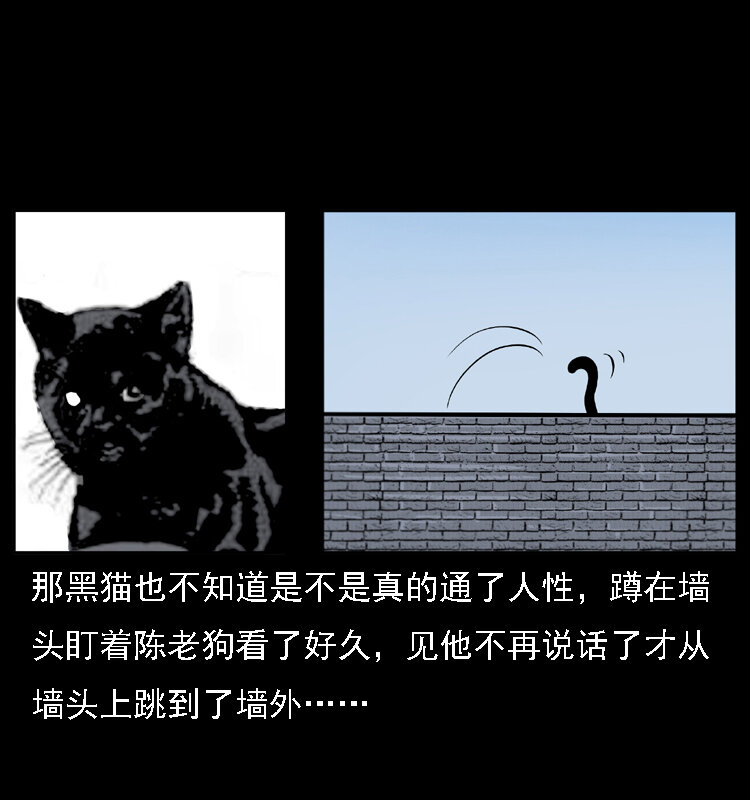 幽冥诡匠韩漫全集-003 赵家的猫无删减无遮挡章节图片 