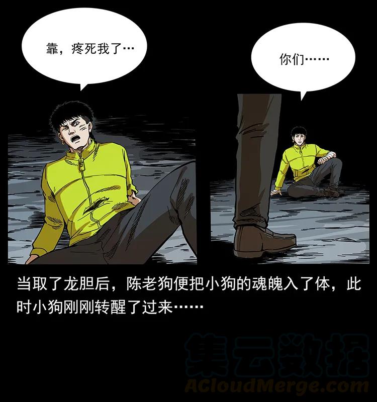 幽冥诡匠韩漫全集-202 龙胆无删减无遮挡章节图片 