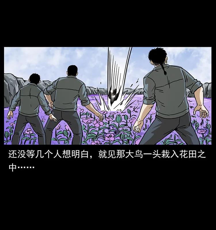 幽冥诡匠韩漫全集-236 神秘的小岛无删减无遮挡章节图片 