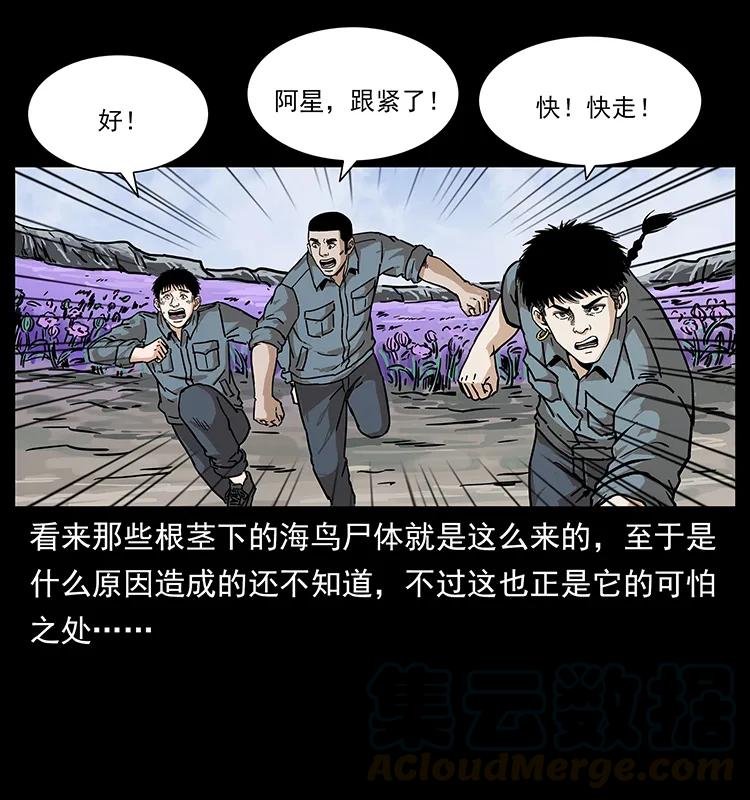 幽冥诡匠韩漫全集-236 神秘的小岛无删减无遮挡章节图片 