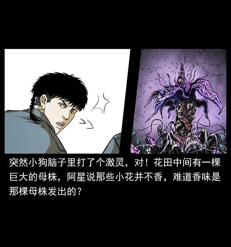 幽冥诡匠韩漫全集-236 神秘的小岛无删减无遮挡章节图片 