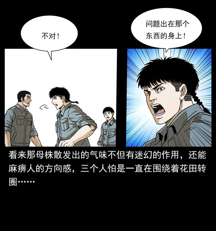 幽冥诡匠韩漫全集-236 神秘的小岛无删减无遮挡章节图片 