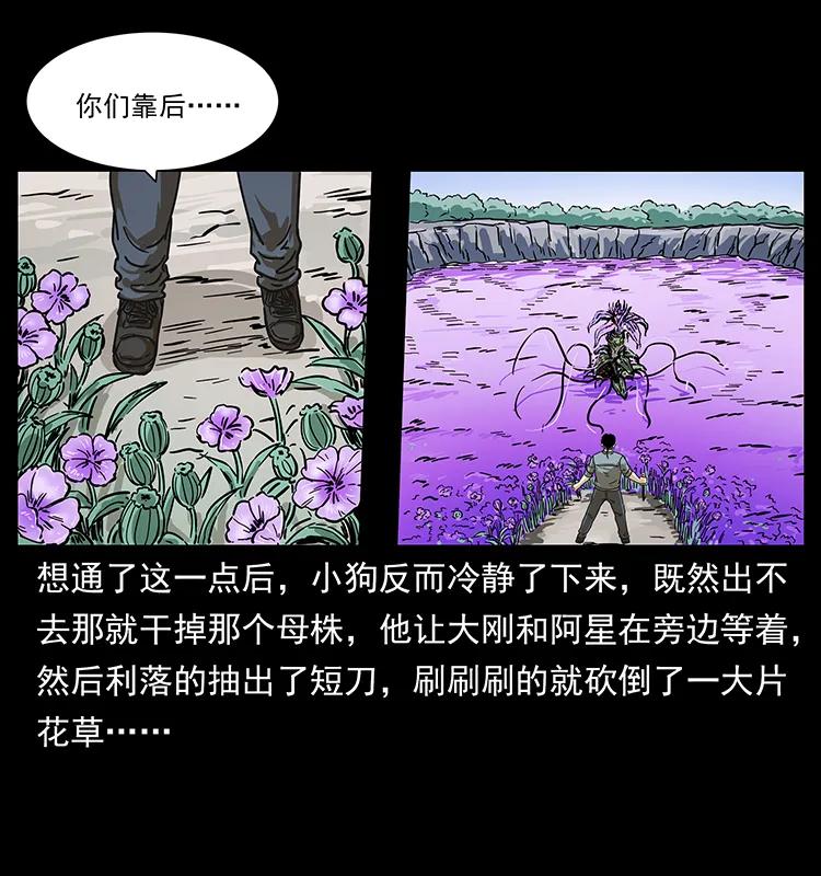 幽冥诡匠韩漫全集-236 神秘的小岛无删减无遮挡章节图片 