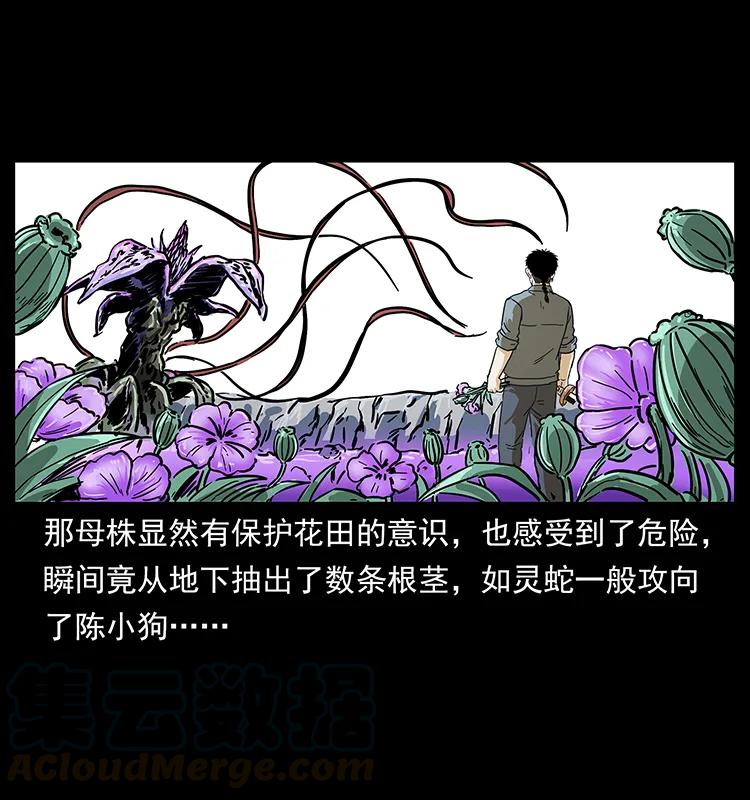 幽冥诡匠韩漫全集-236 神秘的小岛无删减无遮挡章节图片 