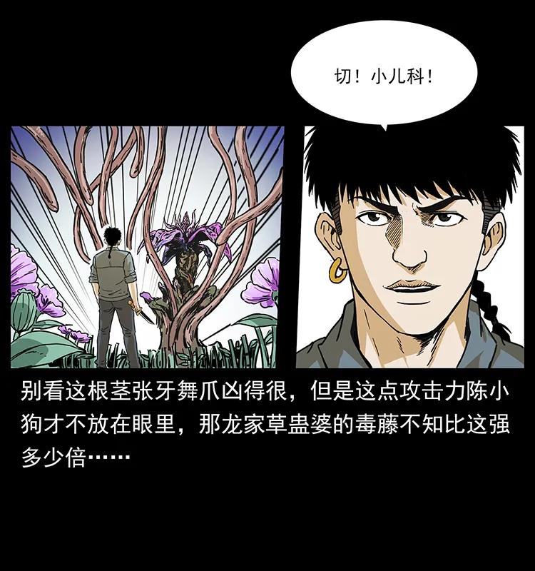 幽冥诡匠韩漫全集-236 神秘的小岛无删减无遮挡章节图片 