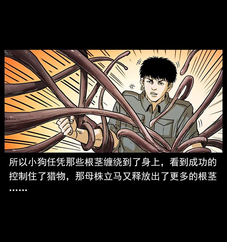 幽冥诡匠韩漫全集-236 神秘的小岛无删减无遮挡章节图片 