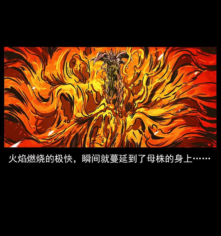 幽冥诡匠韩漫全集-236 神秘的小岛无删减无遮挡章节图片 