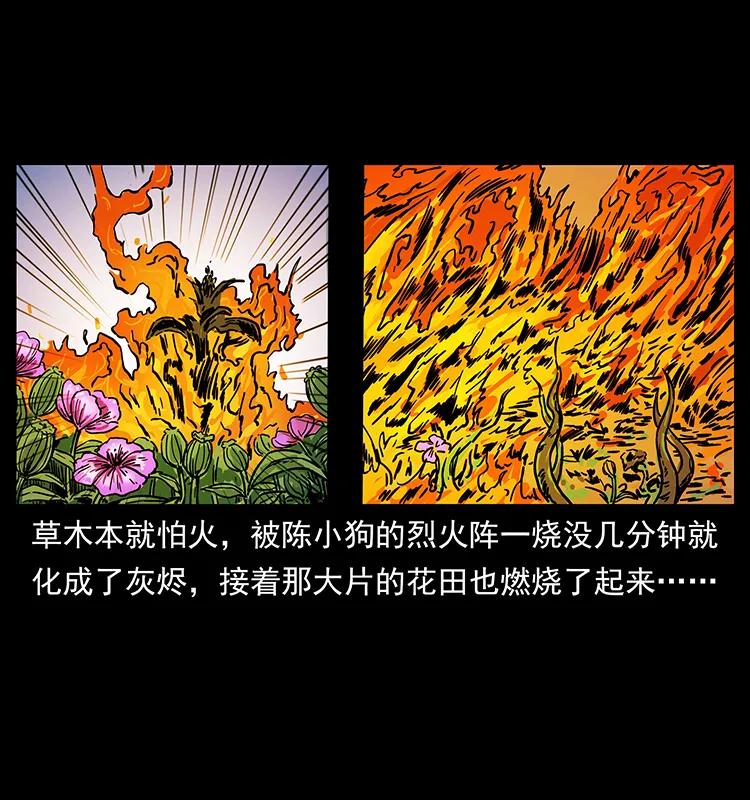 幽冥诡匠韩漫全集-236 神秘的小岛无删减无遮挡章节图片 