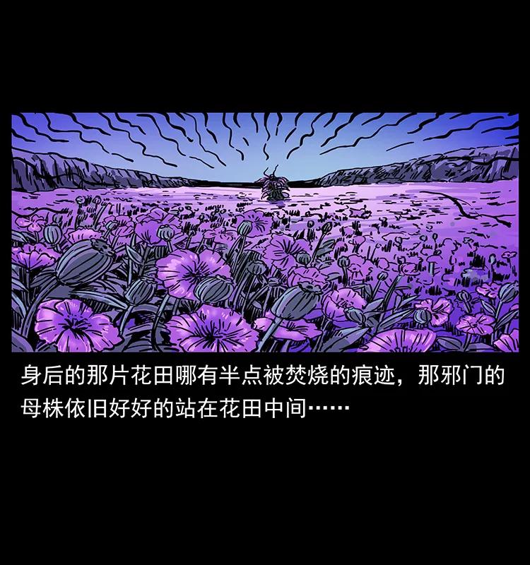 幽冥诡匠韩漫全集-236 神秘的小岛无删减无遮挡章节图片 