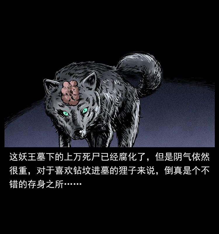 幽冥诡匠韩漫全集-251 刨尸狗遇险无删减无遮挡章节图片 