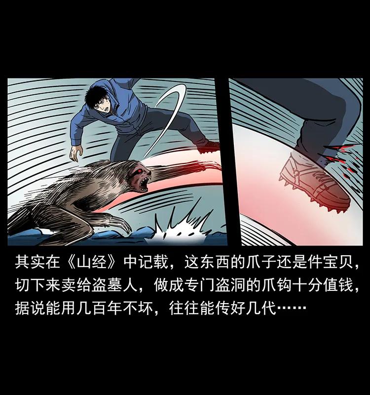 幽冥诡匠韩漫全集-267 万山之祖——昆仑！无删减无遮挡章节图片 