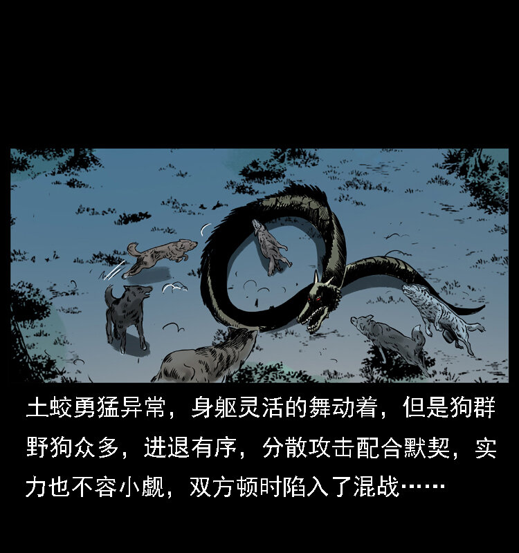 幽冥诡匠韩漫全集-029 斗土蛟无删减无遮挡章节图片 