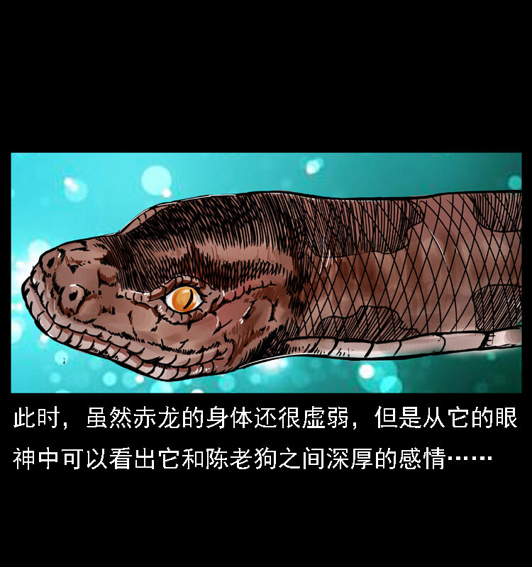 幽冥诡匠韩漫全集-031 斗土蛟3无删减无遮挡章节图片 
