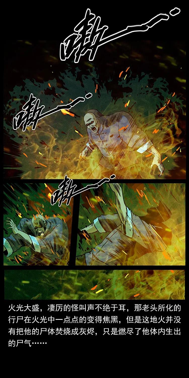 幽冥诡匠韩漫全集-313 兽形僵尸无删减无遮挡章节图片 