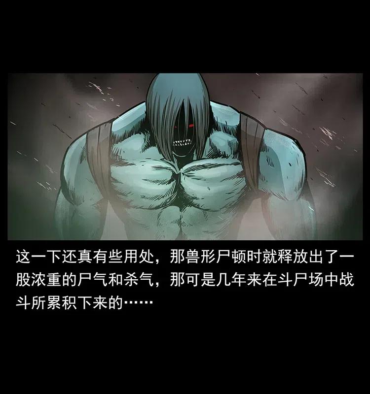 幽冥诡匠韩漫全集-313 兽形僵尸无删减无遮挡章节图片 