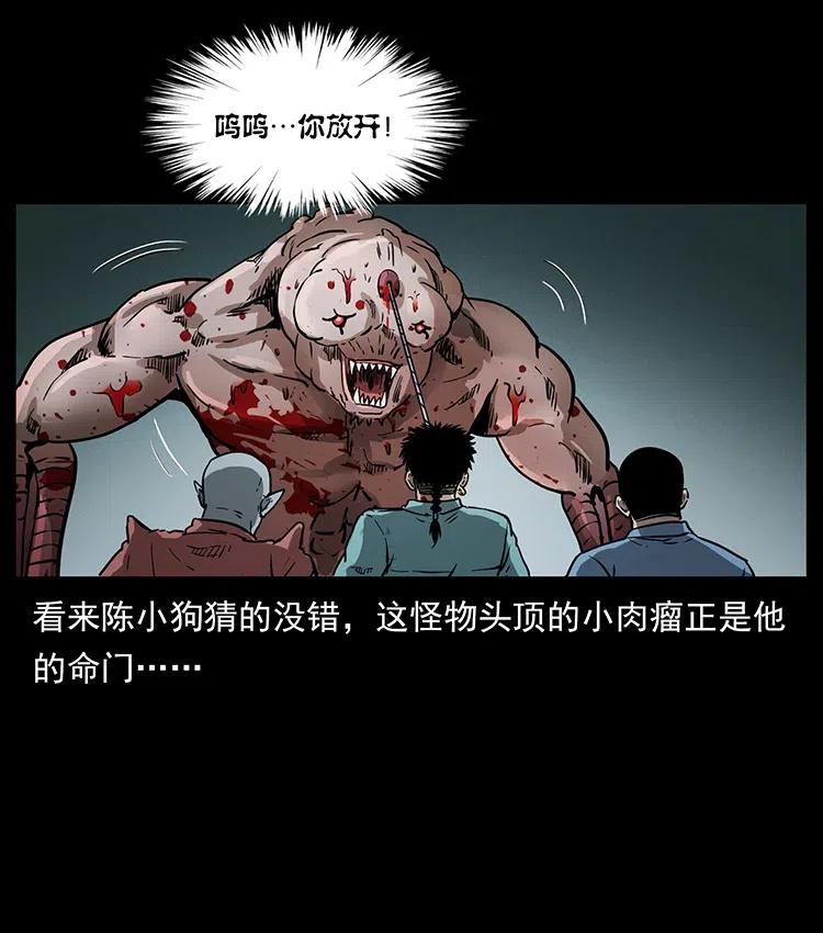 幽冥诡匠韩漫全集-334 山神爷现身无删减无遮挡章节图片 