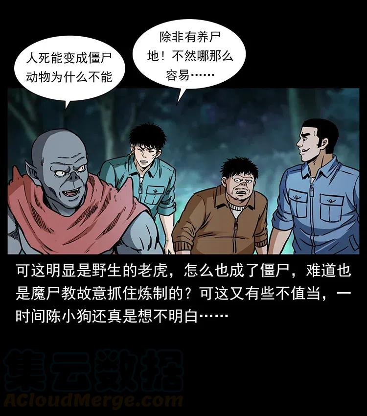 幽冥诡匠韩漫全集-342 白毛僵尸无删减无遮挡章节图片 