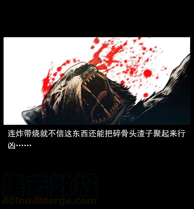 幽冥诡匠韩漫全集-342 白毛僵尸无删减无遮挡章节图片 