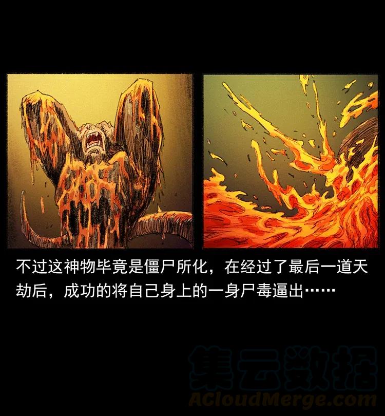 幽冥诡匠韩漫全集-368 上古尸毒无删减无遮挡章节图片 