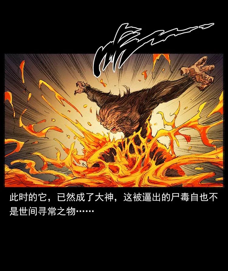 幽冥诡匠韩漫全集-368 上古尸毒无删减无遮挡章节图片 