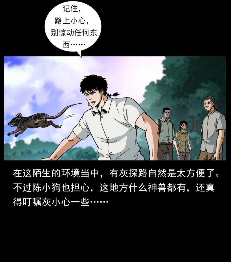 幽冥诡匠韩漫全集-441 羽人之境无删减无遮挡章节图片 