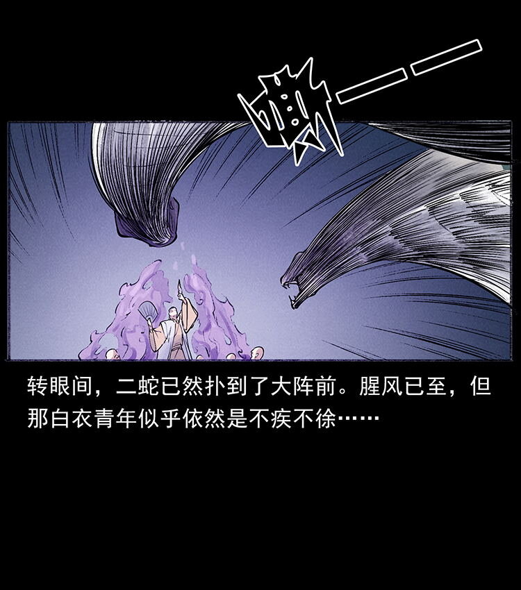 幽冥诡匠韩漫全集-洛生传7 黑白双蛇无删减无遮挡章节图片 