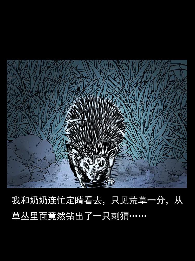 幽冥诡匠韩漫全集-番外2 之保家白仙无删减无遮挡章节图片 