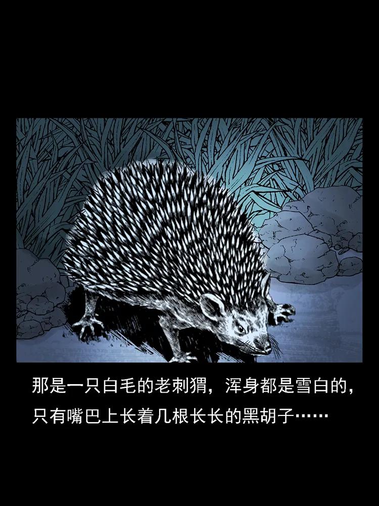 幽冥诡匠韩漫全集-番外2 之保家白仙无删减无遮挡章节图片 