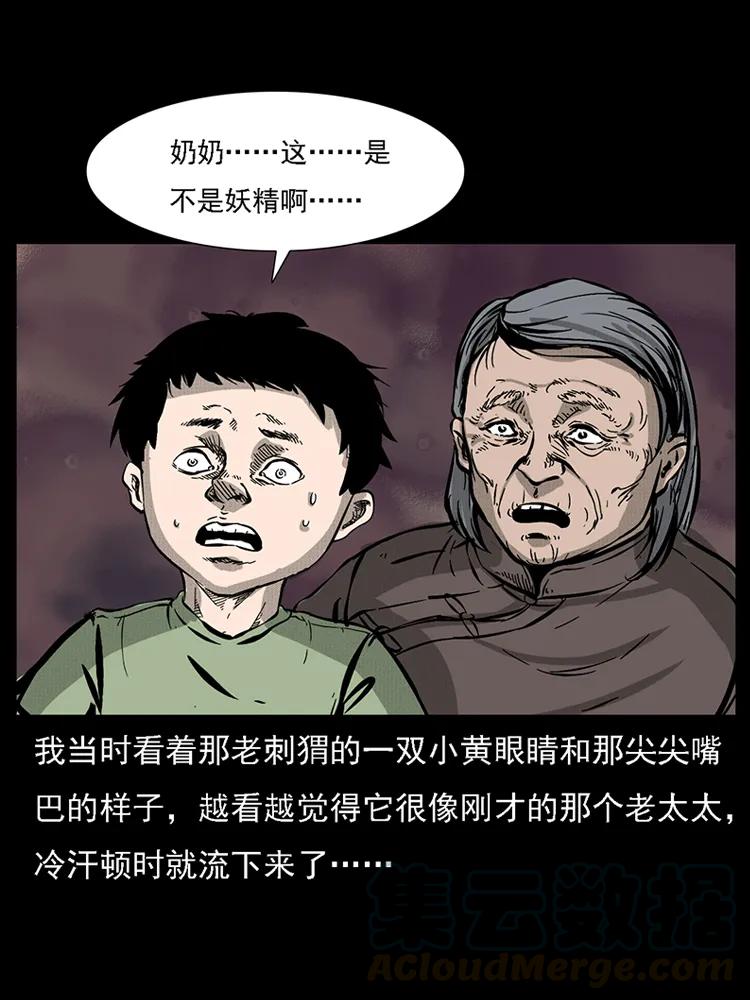 幽冥诡匠韩漫全集-番外2 之保家白仙无删减无遮挡章节图片 