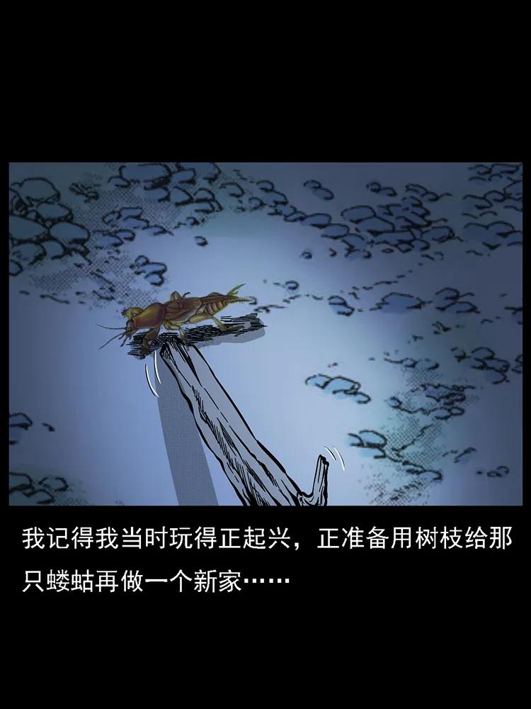 幽冥诡匠韩漫全集-番外2 之保家白仙无删减无遮挡章节图片 