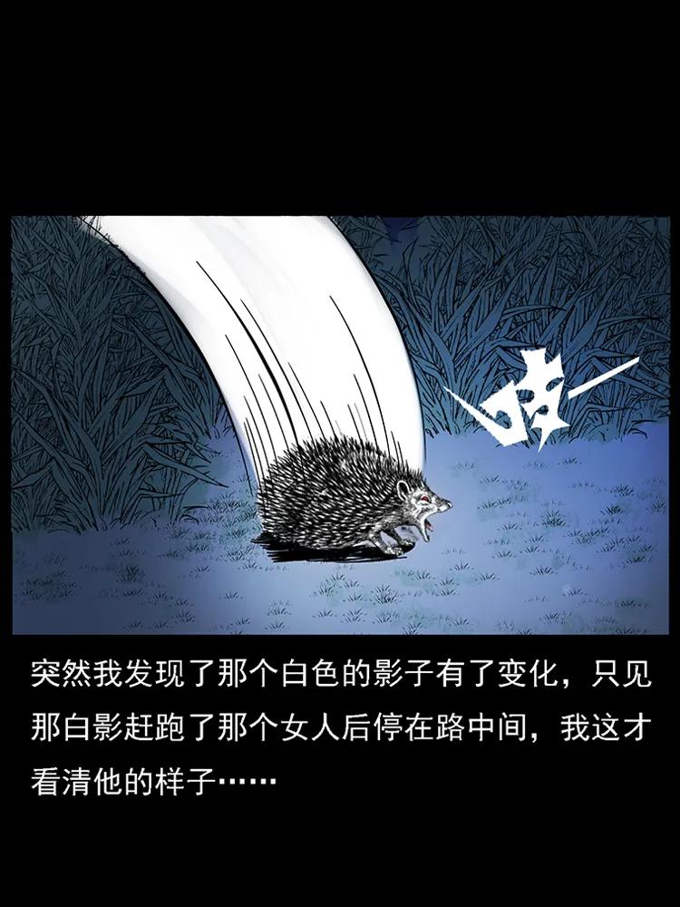 幽冥诡匠韩漫全集-番外2 之保家白仙无删减无遮挡章节图片 