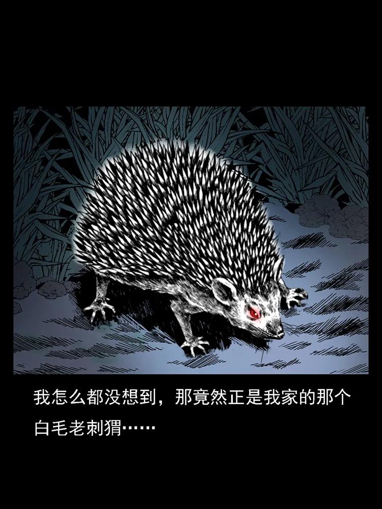 幽冥诡匠韩漫全集-番外2 之保家白仙无删减无遮挡章节图片 