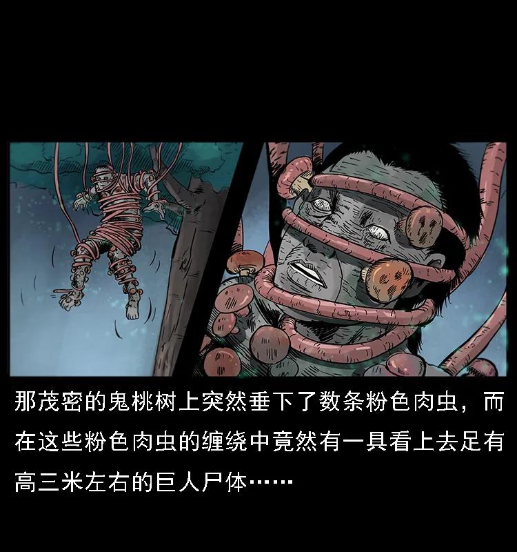 幽冥诡匠韩漫全集-082 鬼桃树无删减无遮挡章节图片 