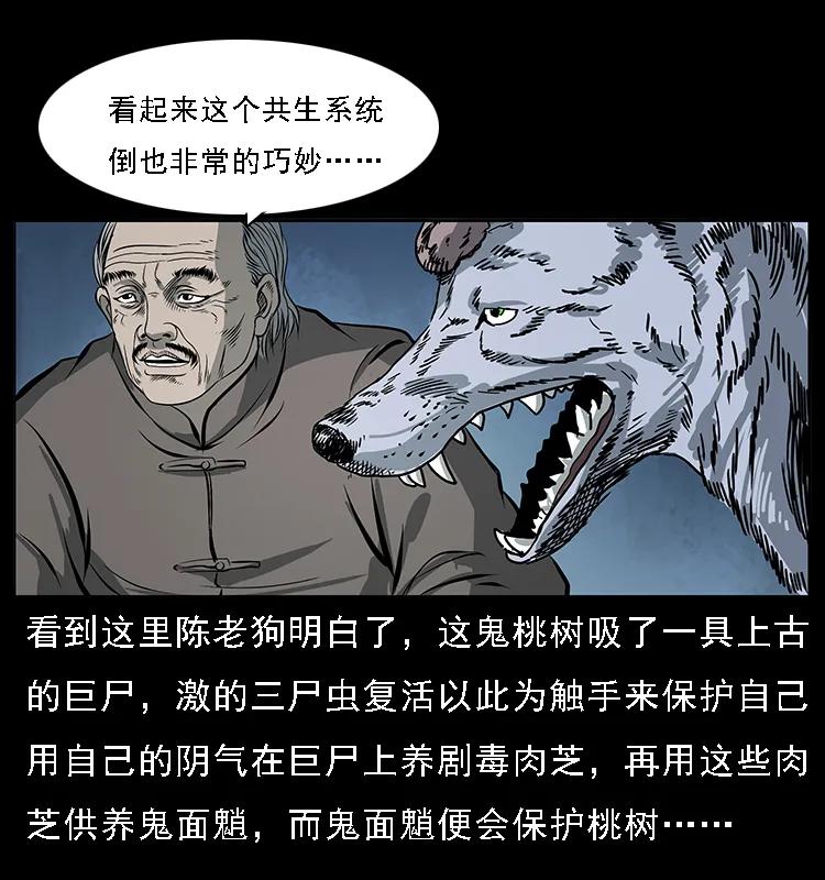 幽冥诡匠韩漫全集-082 鬼桃树无删减无遮挡章节图片 