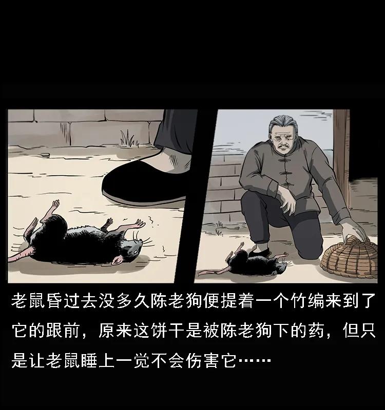 幽冥诡匠韩漫全集-082 鬼桃树无删减无遮挡章节图片 