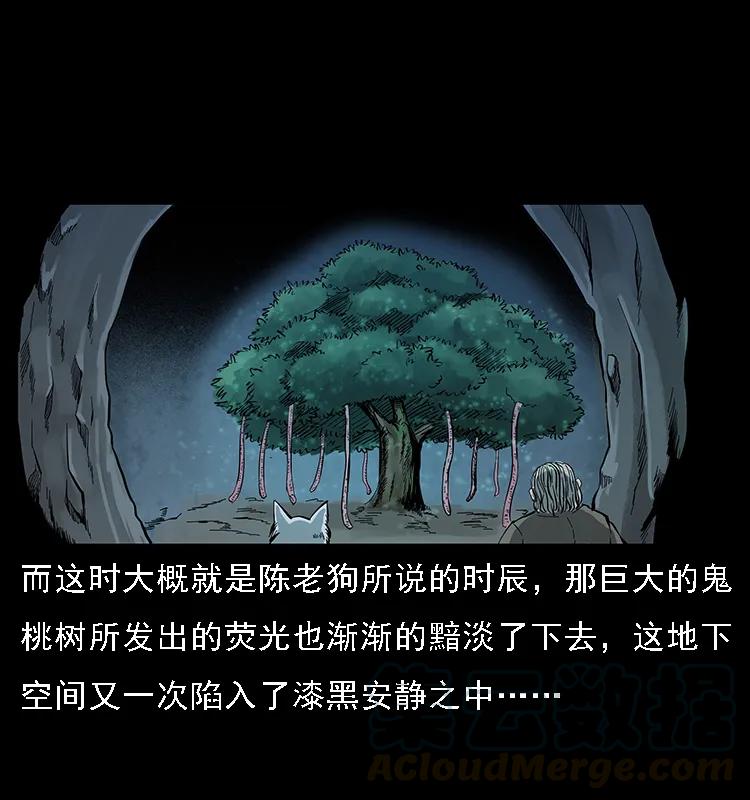 幽冥诡匠韩漫全集-082 鬼桃树无删减无遮挡章节图片 