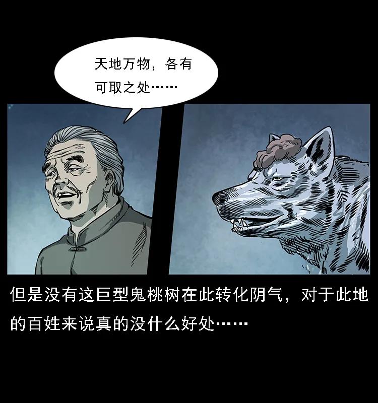 幽冥诡匠韩漫全集-082 鬼桃树无删减无遮挡章节图片 