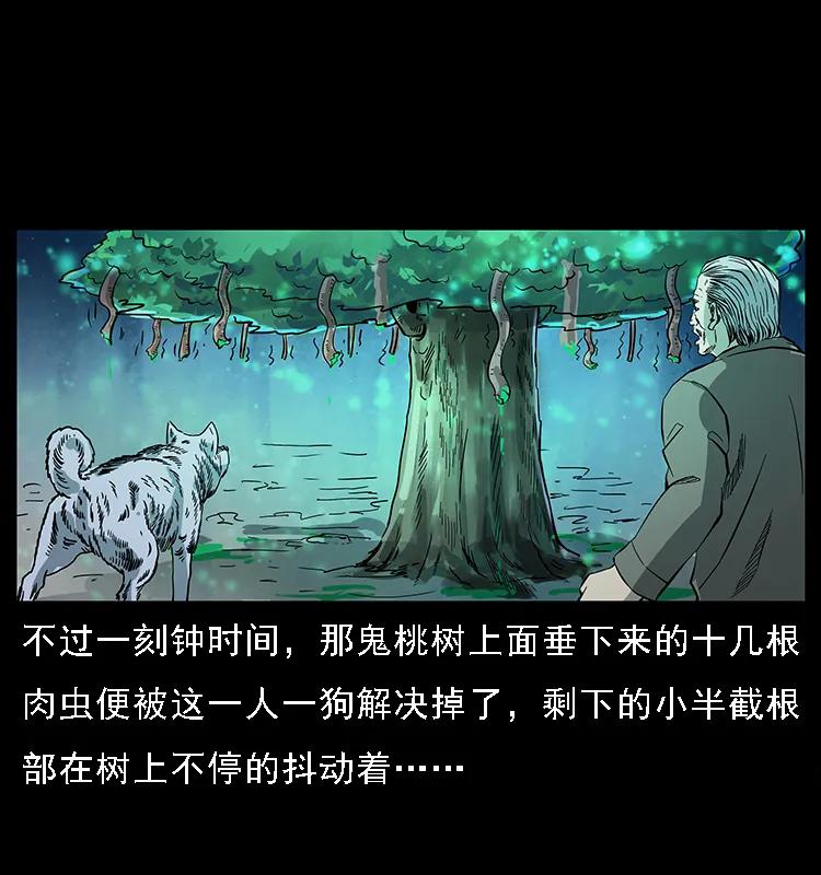 幽冥诡匠韩漫全集-082 鬼桃树无删减无遮挡章节图片 