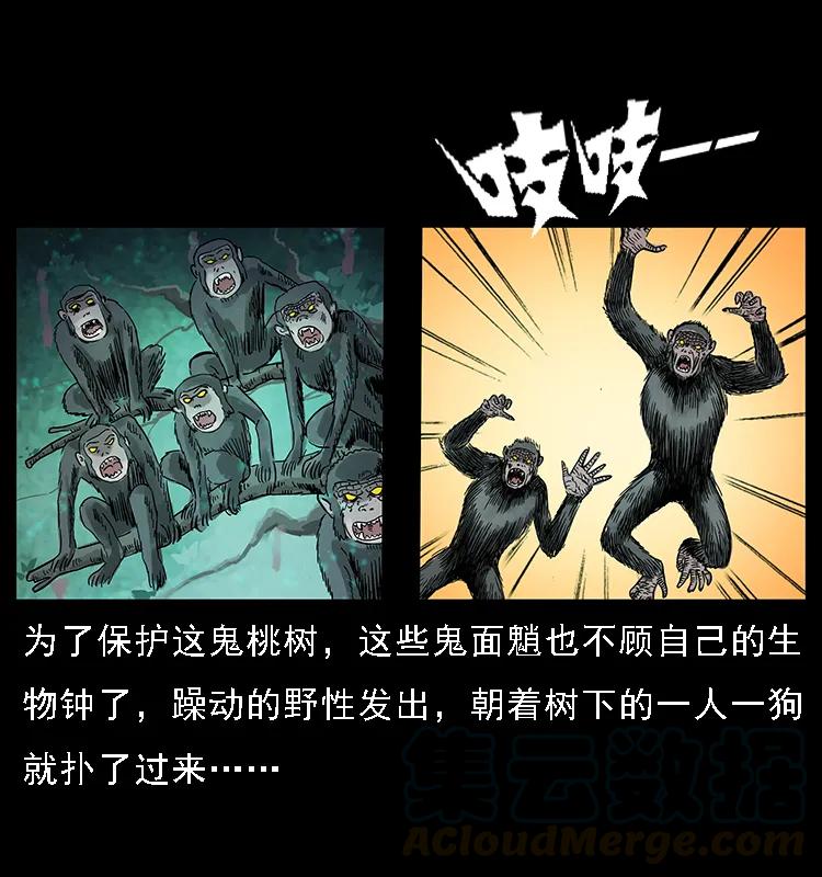 幽冥诡匠韩漫全集-082 鬼桃树无删减无遮挡章节图片 
