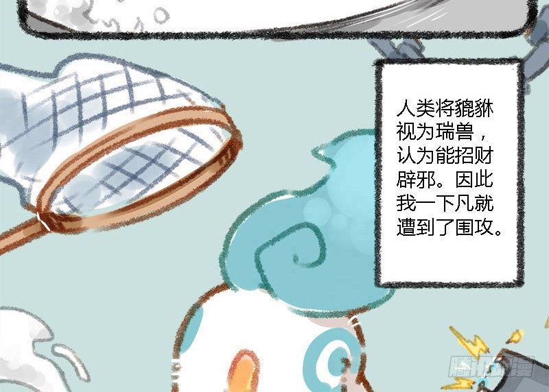 有兽焉韩漫全集-人间有神兽，来自九重天无删减无遮挡章节图片 