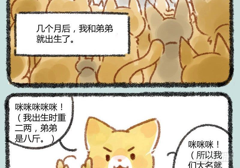 有兽焉韩漫全集-人生若只如初见，一不小心生俩蛋无删减无遮挡章节图片 