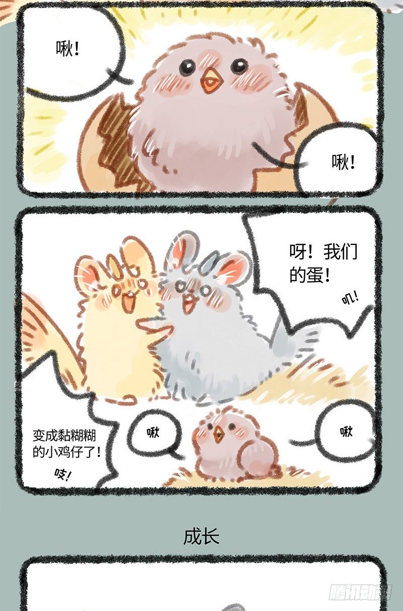 有兽焉韩漫全集-养鸡！无删减无遮挡章节图片 