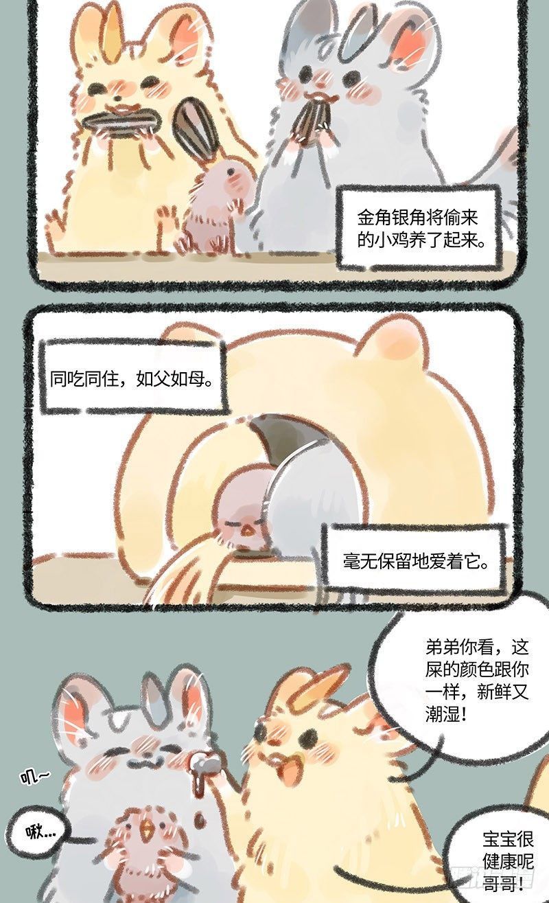 有兽焉韩漫全集-养鸡！无删减无遮挡章节图片 