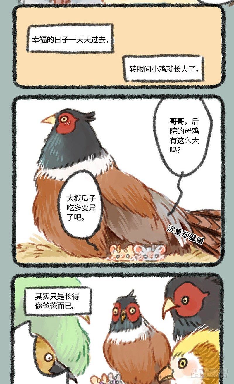 有兽焉韩漫全集-养鸡！无删减无遮挡章节图片 