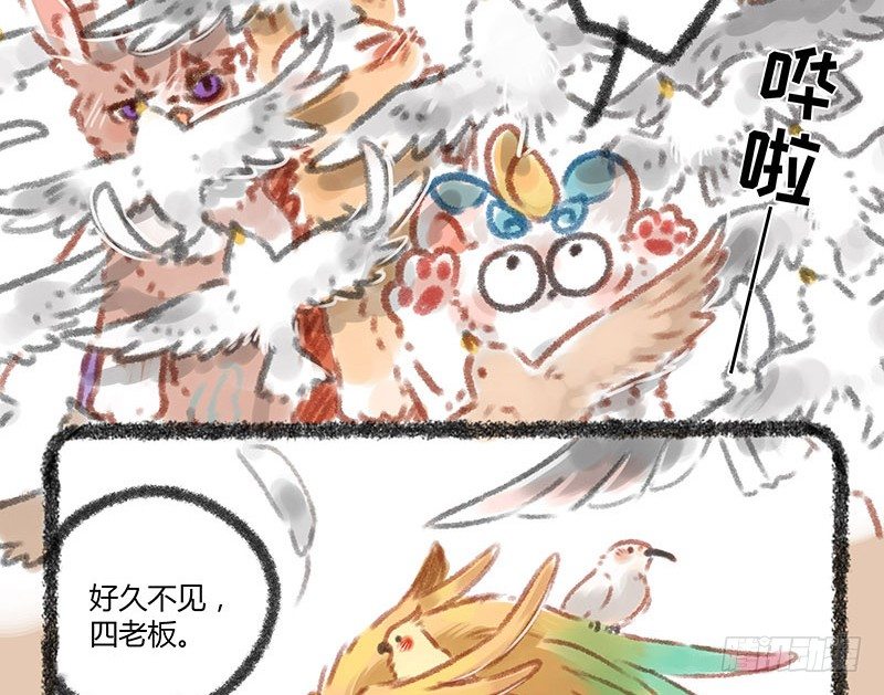 有兽焉韩漫全集-神兽界的超级明星出现！无删减无遮挡章节图片 