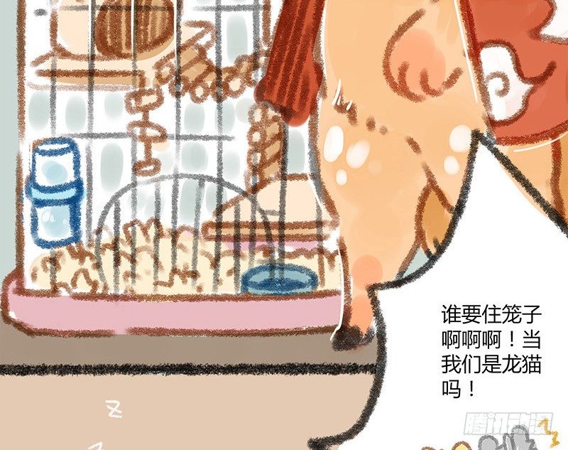 有兽焉韩漫全集-我本布衣无删减无遮挡章节图片 