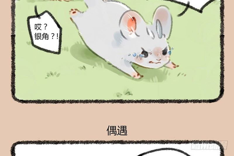 有兽焉韩漫全集-鼠生艰难无删减无遮挡章节图片 