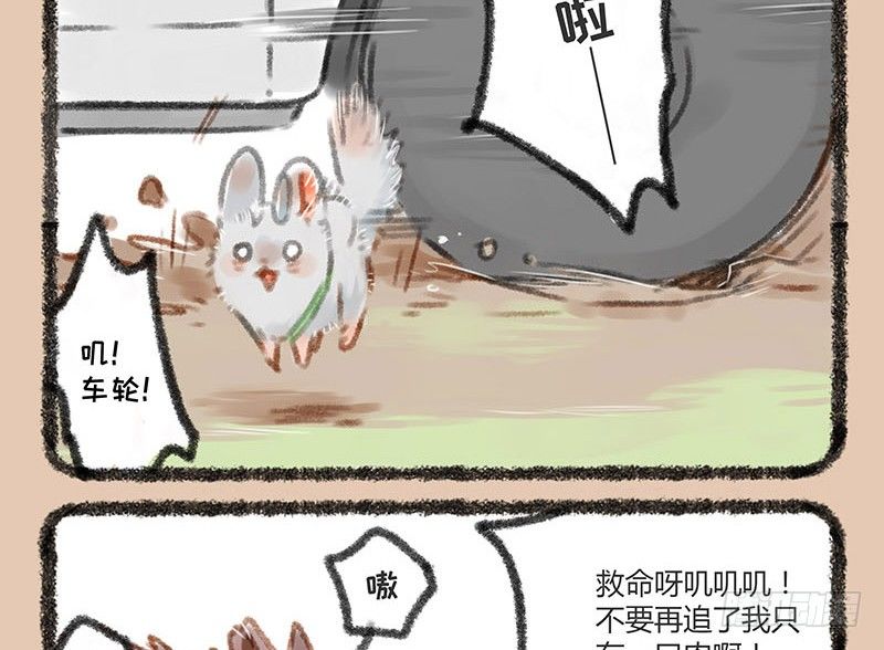 有兽焉韩漫全集-鼠生艰难无删减无遮挡章节图片 