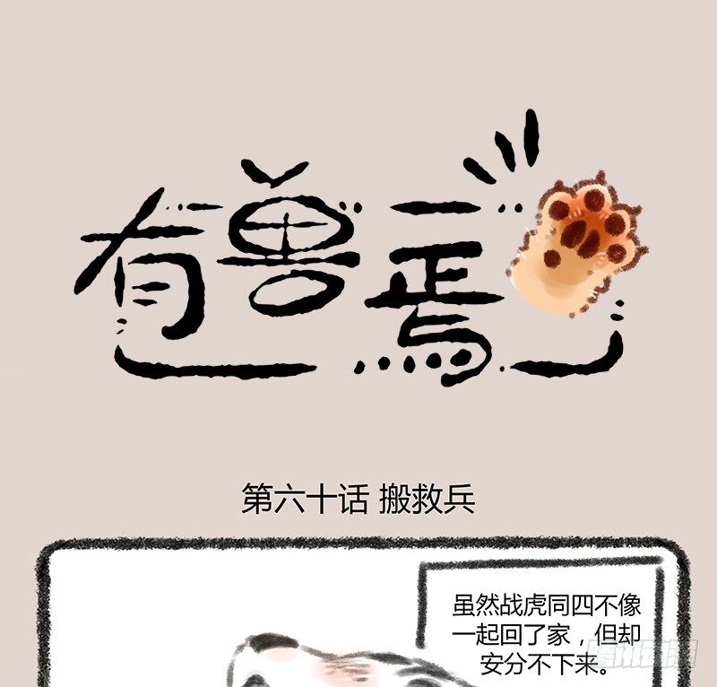 有兽焉韩漫全集-白虎也是喵~无删减无遮挡章节图片 