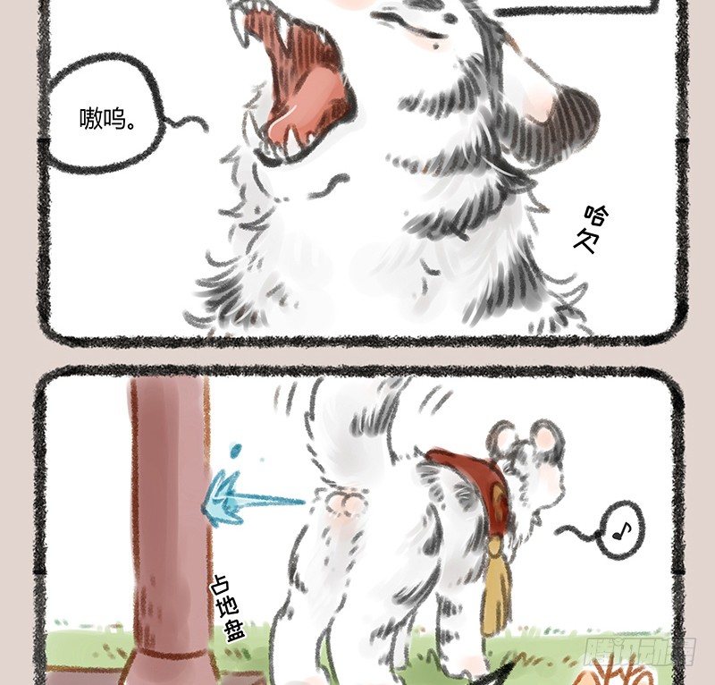 有兽焉韩漫全集-白虎也是喵~无删减无遮挡章节图片 
